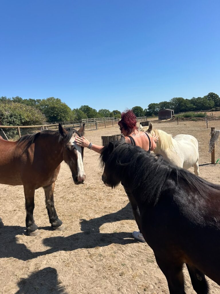 Sarah Elizabeth exploring self-leadership and identity through an equine HorsePower experience